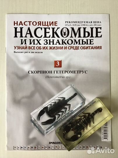 Насекомые и их знакомые