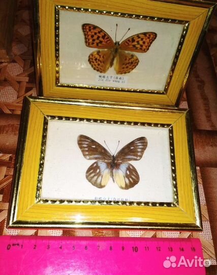 Картины янтарь и бабочки