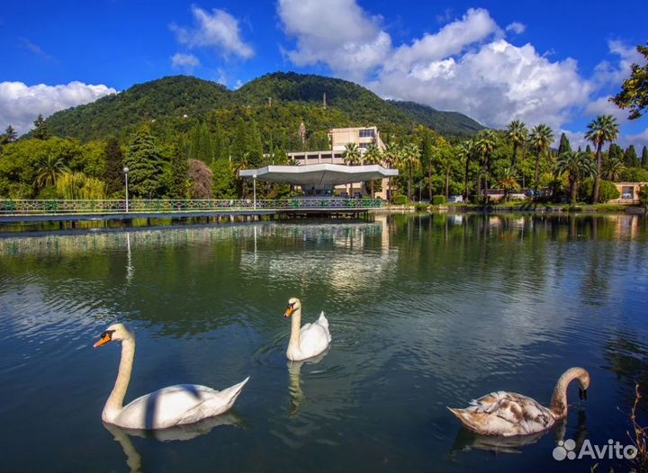 Путевка в Сочи и Абхазию 7 д все вкл. прож