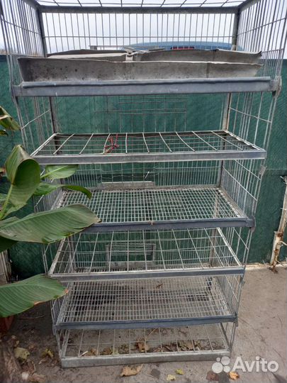 Клетка для кур и кроликов 3х ярусная