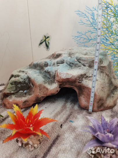 Все для аквариума