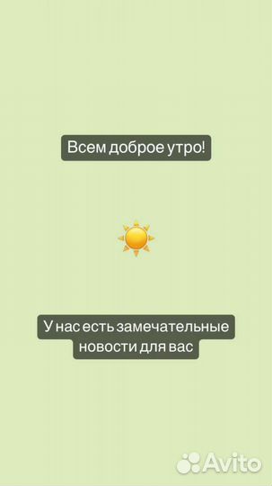 Цветы на срезку (хрезантема)