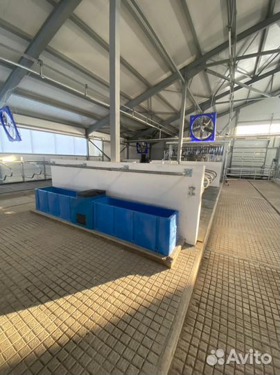 Строительство мясных ферм под ключ