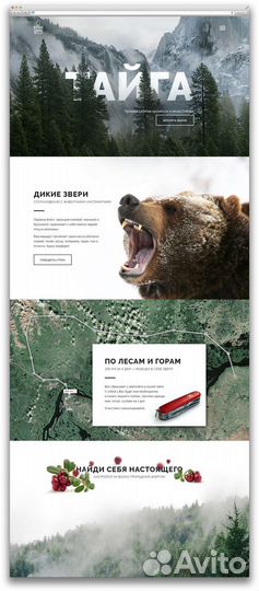 Сайт лендинг под ключ быстро