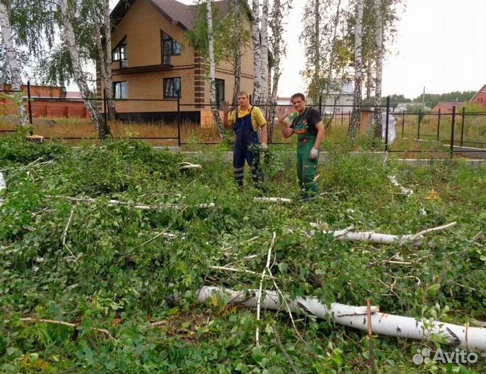 Расчистка, благоустройство, очистка участка