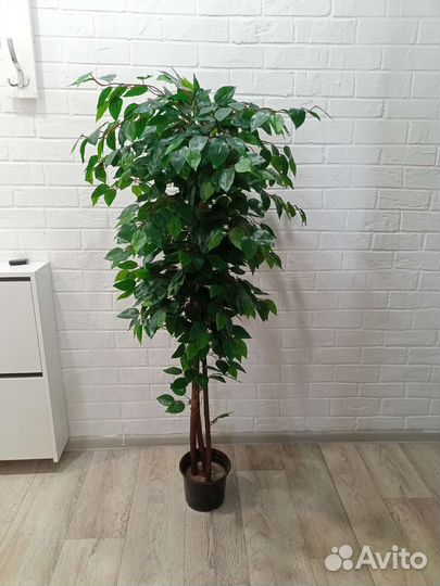 Искусственное дерево. Фикус Бенжамина