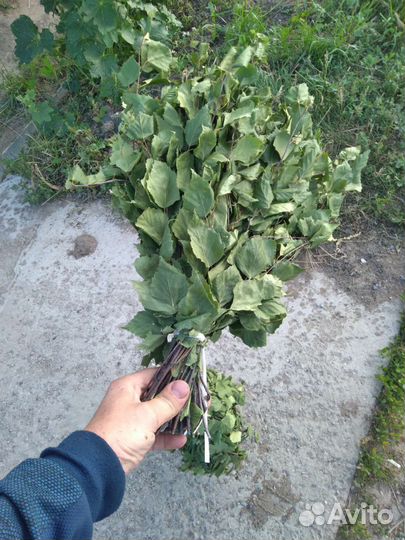 Веники березовые для бани