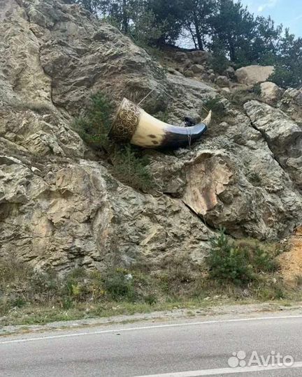 Экскурсии,поездки в горы