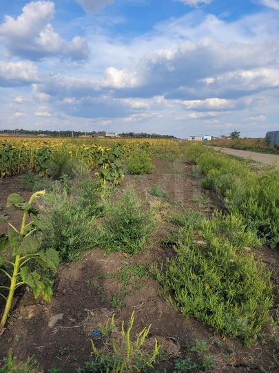 Участок 1,9 га (ИЖС)