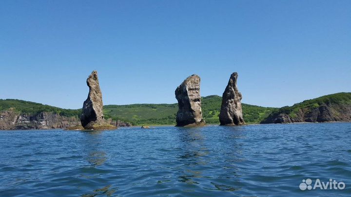 Аренда катера морские прогулки