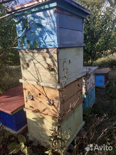 Ульи для пчел