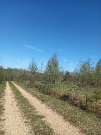 Участок 100 сот. (ИЖС)