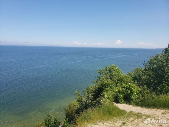 Индивидуальные путешествия а куршскую косу