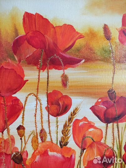 Картина маслом Маки пейзаж полевые цветы 40*50