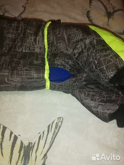 Одежда для собак