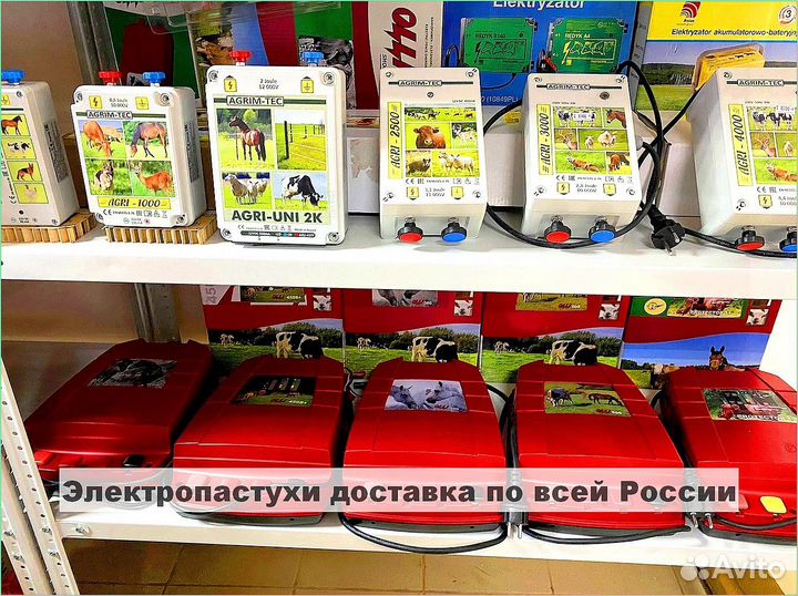 Электропастух для коров