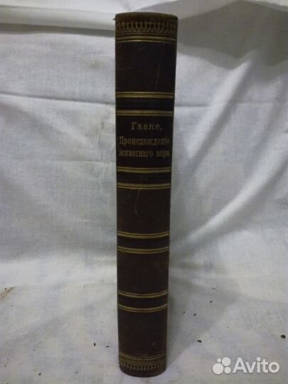 Гааке В. Происхождение животного мира