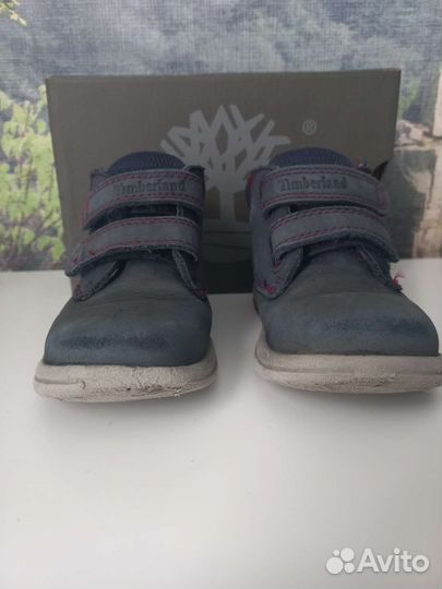 Ботинки демисезонные Timberland 24