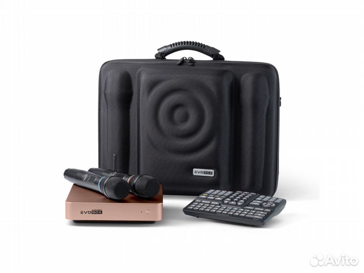 Караоке система с комплектом Evobox VIP plus