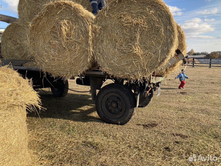 Сено Солома