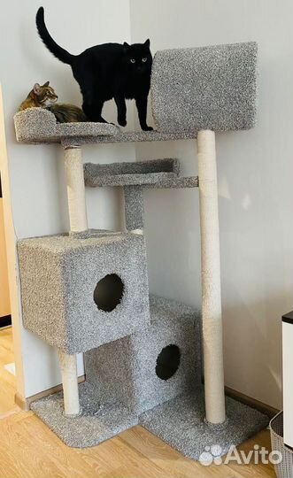 Когтеточки и домики