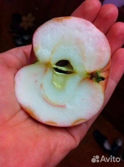 Яблоки, огурцы, грибы