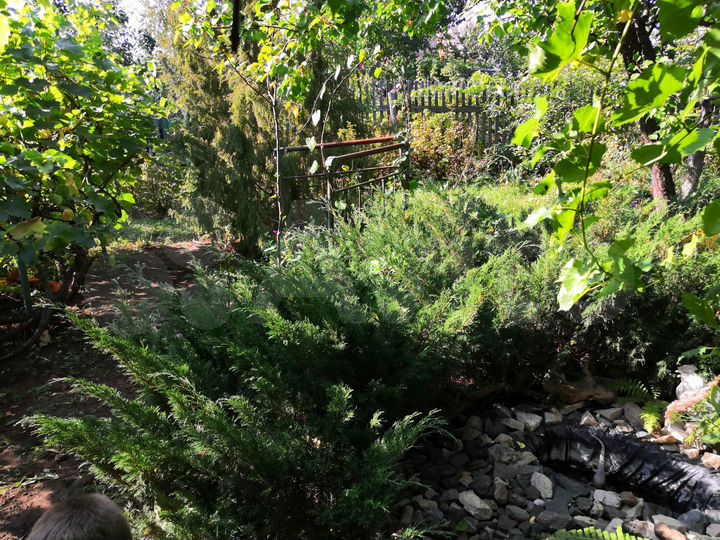 Дача 20 м² на участке 6 сот.