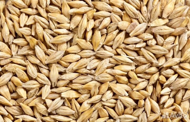 Пшеница Зерносмесь Овёс Ячмень Комбикорм