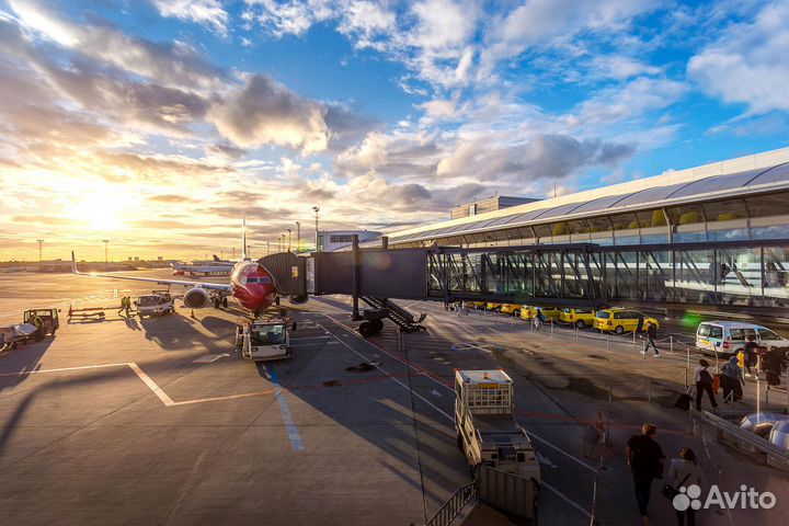 Дворник в аэропорт Пулково