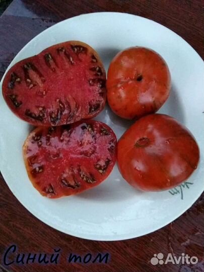 Коллекционные семена сорта томатов помидоров