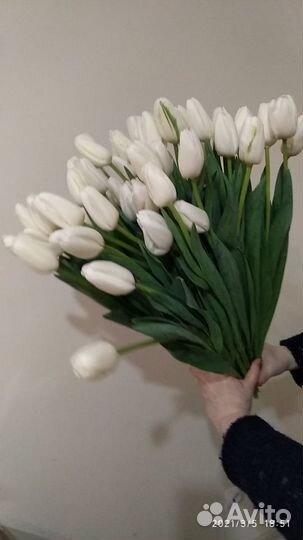 Тюльпаны к 8 марта розница, опт