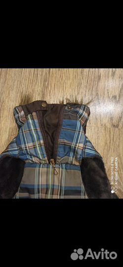 Попона для собак