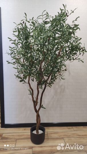 Искусственные деревья Олива, бонсай, бумбук