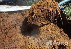 Перегной конский, коровий