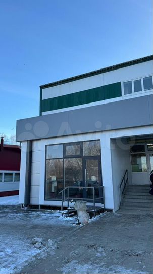 Торговая площадь, 650 м²