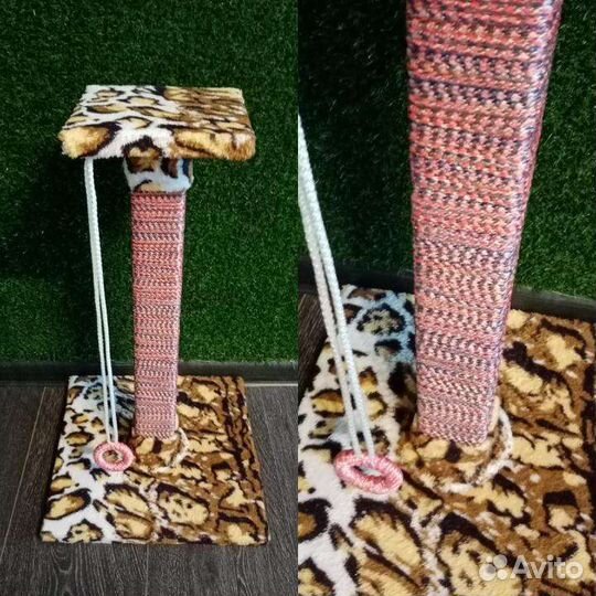 Когтеточка