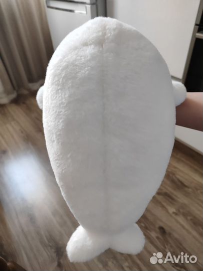 Морской котик Морис