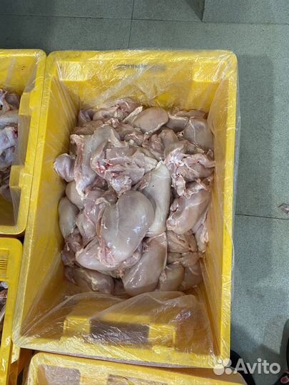 Филе куриное, Шаурма, крыло, оптом Халяль. гост