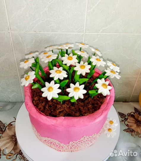 Торты,бенто торты на заказ