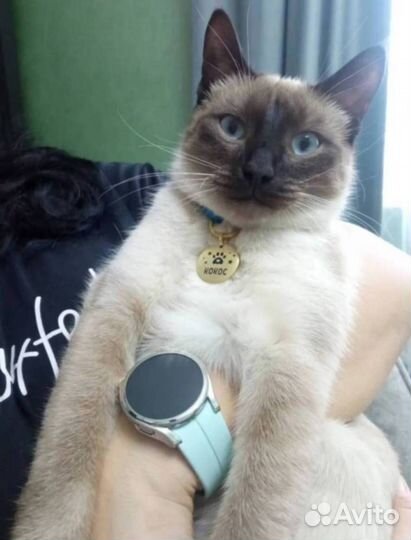 Адресники для кошек 20мм 25мм 32мм