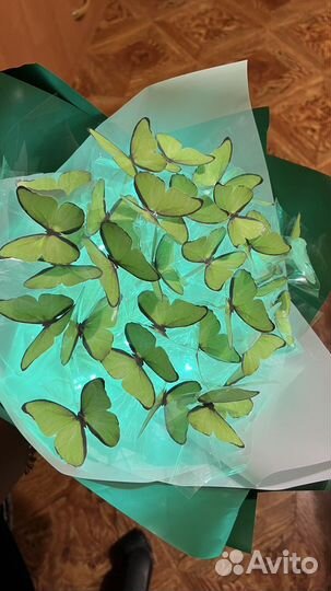 Букет из бабочек