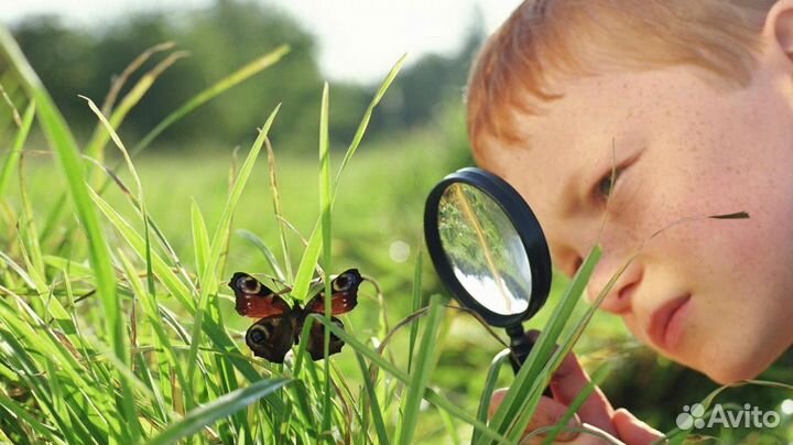 Детская Миниферма Тропических Бабочек ф/б-24