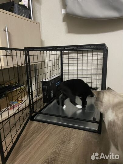 Клетка для кошек и собак