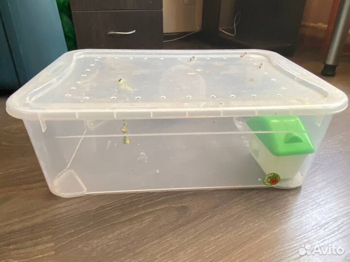 Контейнер для хомяка