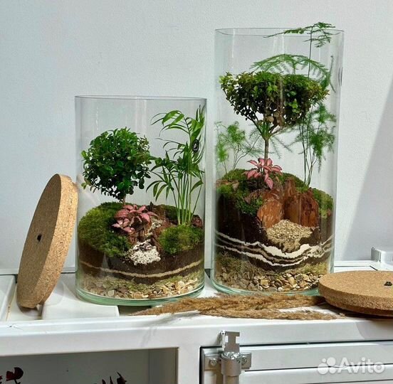 Флорариум Neopure Эрраи Л большой