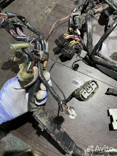 Коса проводки для z1000sx 11-13 ABS