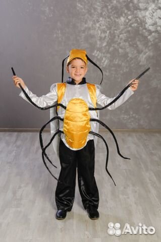 Прокат костюмов Тараканище, Жука, насекомых