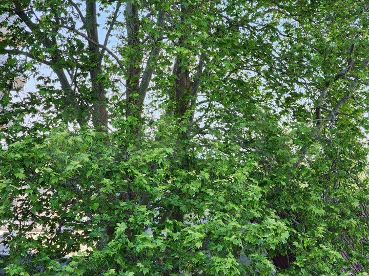 Квартира-студия, 27 м², 3/4 эт.