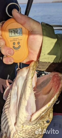 Скоростные прогулки по воде, Рыбалка, экскурсии