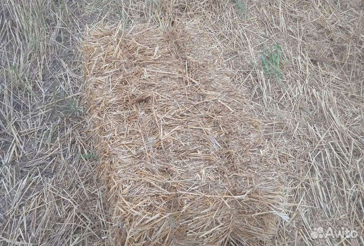 Солома в тюках